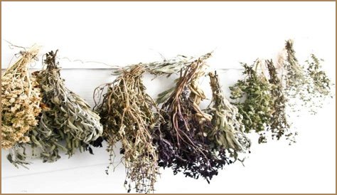 Does dried thyme go bad?