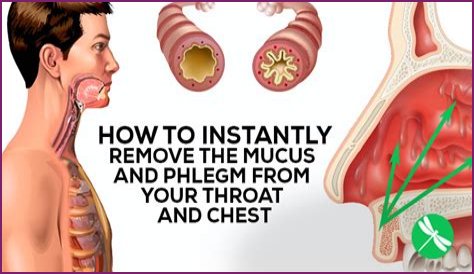 How do I get rid of thick mucus in my throat?