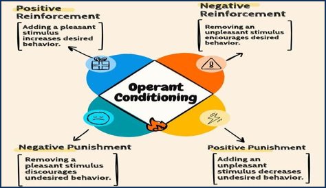 Is operant conditioning a theory?